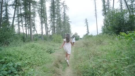 a pregnant woman and her young daughter, both dressed in white, walk hand-in-hand through a grassy park. the scene captures a serene moment of family bonding in nature, surrounded by trees.