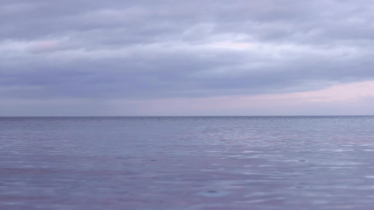 라트비아의 발트해에서 흐린 저녁에 잔잔한 바다 위로 낮게 날아가는 새들