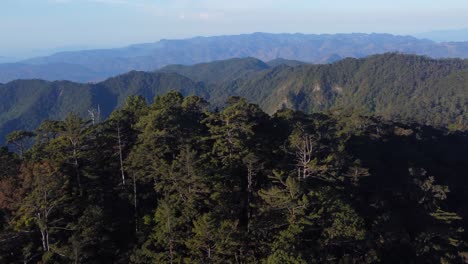 mountain forest aerial with distinct foreground, middle and background