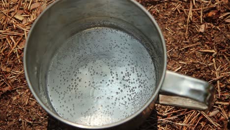 boil water in a metal bowl in the forest