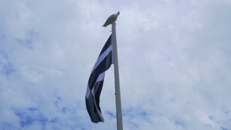 Saint-Piran-Bandera-Soplando-En-El-Viento-Cornwall-Con-Gaviota-En-Segundo-Plano-2