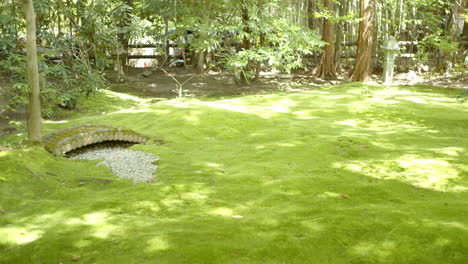 Macha-green-traditional-garden-in-Kyoto,-Japan-midday