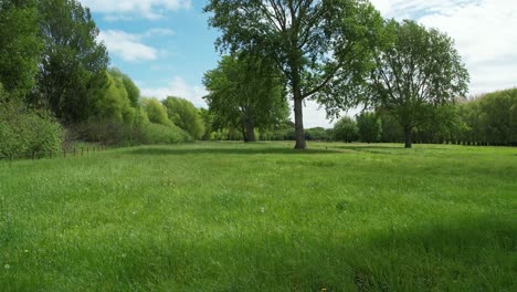 low aerial reverse above beautiful green grass in summertime - coes ford recreation area