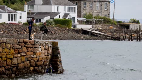 dog leaps from pier into the water