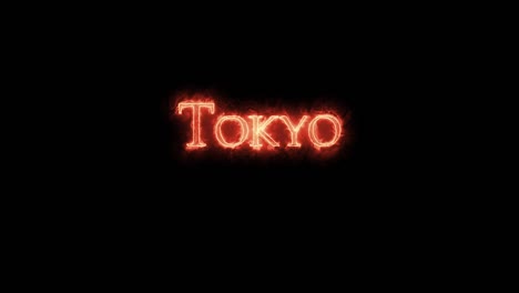 tokyo written with fire. loop