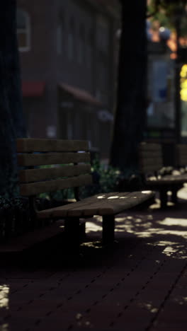 park bench in the city sunlight