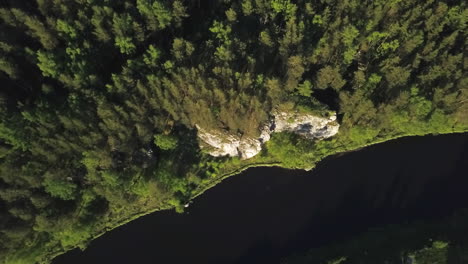 aerial view of river and forest