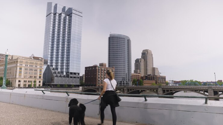 Giovane donna che porta a spasso il suo cane si gode il panorama da un ponte nel centro di una città.