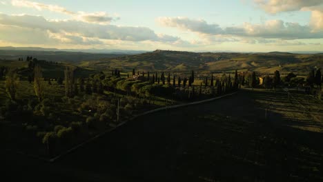 tall cypress trees line winding road with bright view of val d'orcia tuscany