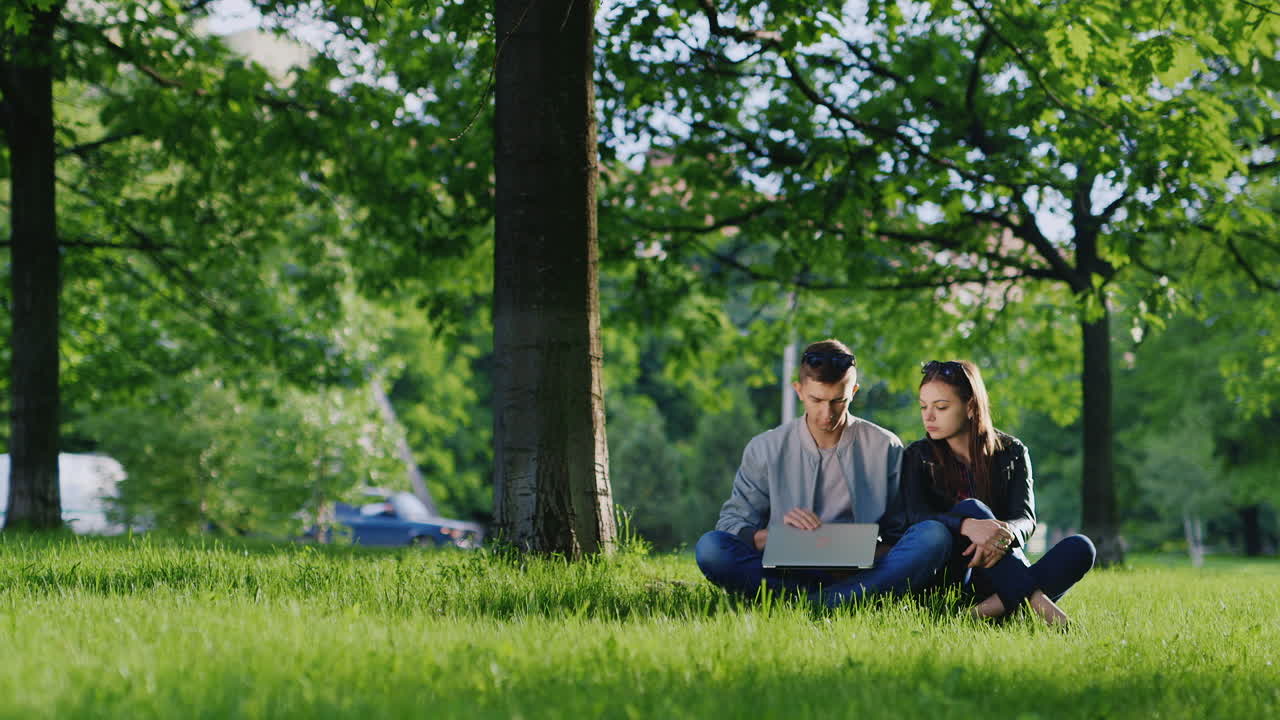 트리 hd 비디오 아래 공원의 잔디에 앉아 노트북을 즐기는 젊은 귀여운 커플