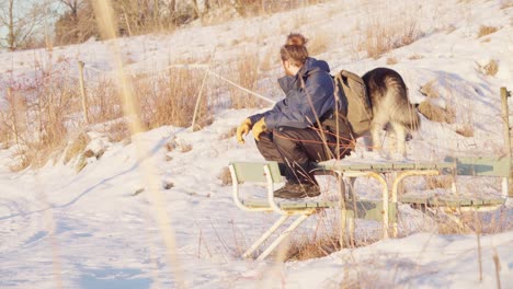 Campista-Con-Malamute-De-Alaska-Sentado-Y-Relajado-En-Una-Mesa-De-Picnic-Al-Amanecer-En-Invierno