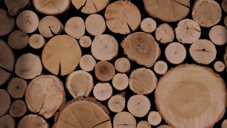 a lot of cutted logs. pile of chopped fire wood prepared for winter.