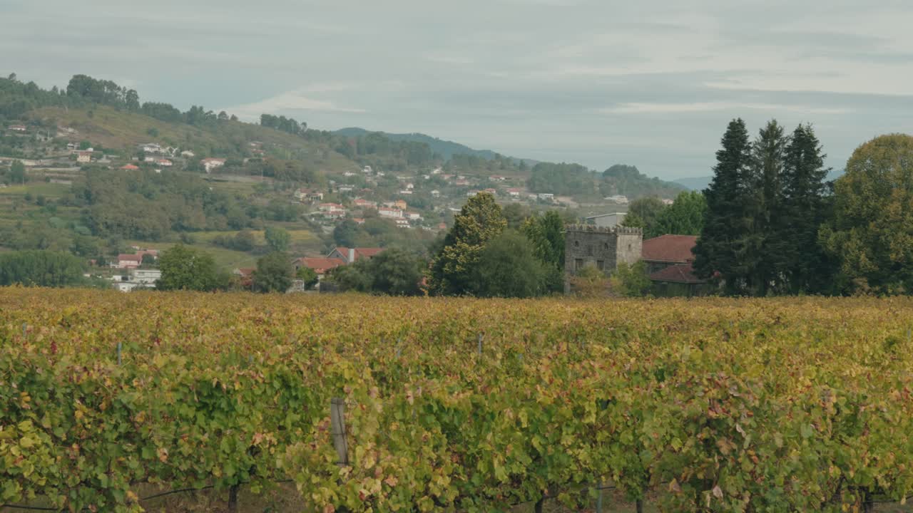 Vista ampia di un vigneto con un villaggio di campagna e dolci colline