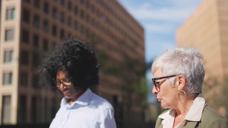 two businesswomen walking and talking in the city