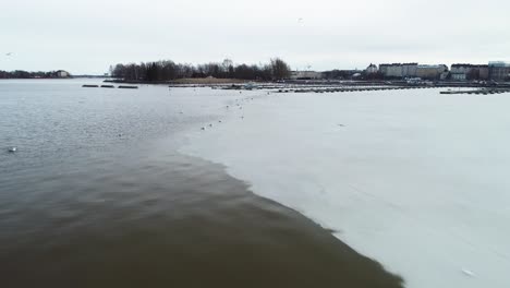 Moving-shot-of-some-birds-standing-and-flying-from-an-ice-shelf-in-Helsinki,-Finland