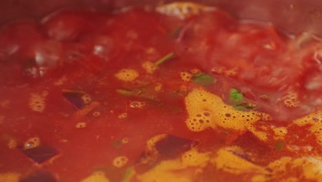 Beetroot soup, Cooking traditional national Russian, Ukranian soup Borsch close-up. Boiling red soup with vegetables and turkey meat and spices. Special red for Borsh from beet, tomatoes pasta
