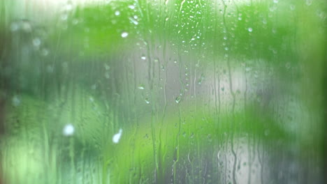 rivulets of raindrops run down outside of window on rainy day, rack focus