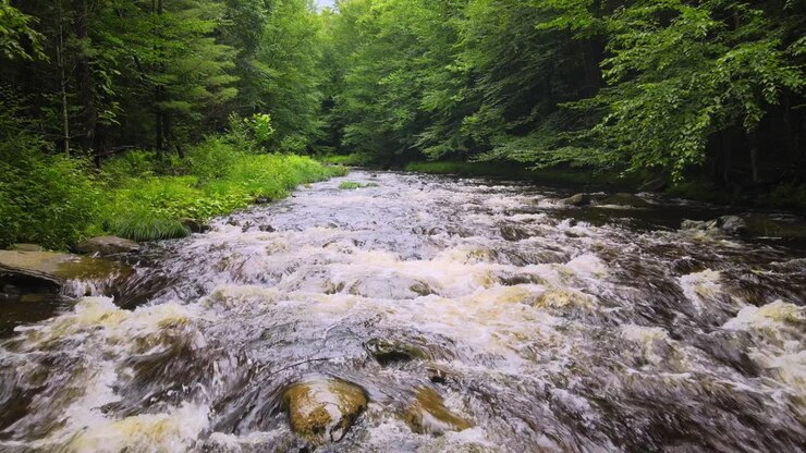 Images de drone d'un ruisseau de pêche à la truite dans les montagnes des Catskill après une journée de pluie.