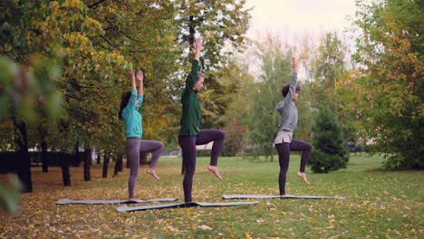 women practicing yoga outdoors in a park during autumn