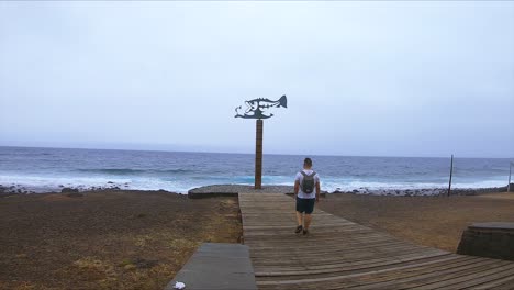 boy walking on a walkway with a fish sculpture towards the ocean