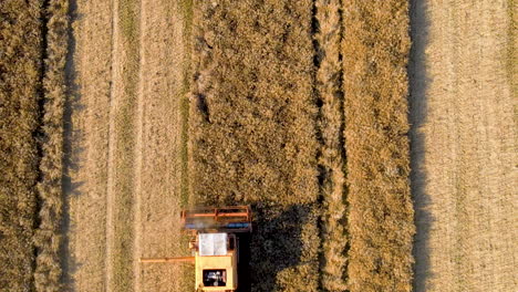 De-Arriba-Hacia-Abajo-De-La-Cosechadora-Recolectando-Granos-Maduros-En-El-Campo,-Agronomía