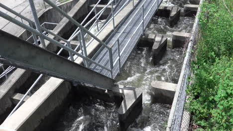 una escalera de hormigón para peces en una presa para que los peces puedan continuar río arriba