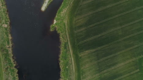 drone shot of a beautiful river in the summer