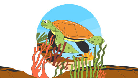 an animation of a hand drawn cartoon sea turtle illustration