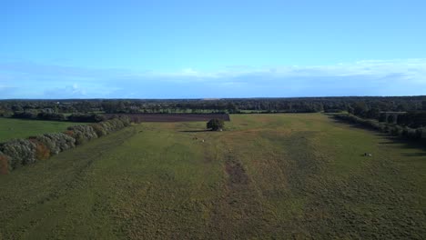 Meadows-and-fields-in-grassland