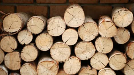 wooden logs placed beside brick wall. dried firewood ready for use on background of red brick wall