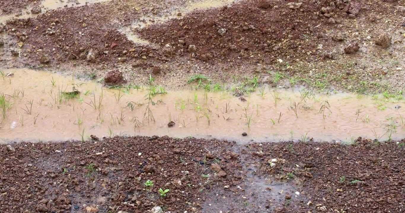 A tranquil ground-level view of a rain-soaked landscape featuring muddy puddles after a heavy downpour. Highlighting the natural beauty, serenity, and wet terrain of the rural environment.
