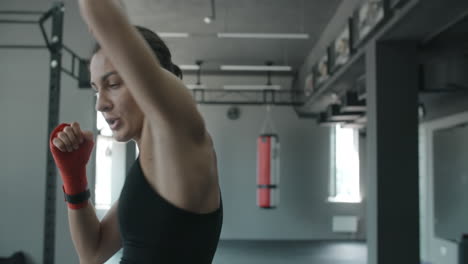 female boxer training