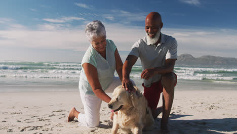 senior african american couple petting a dog at the beach