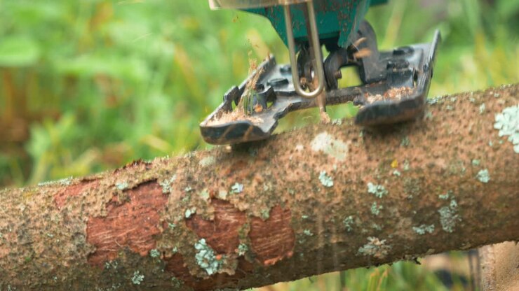 Processing log of wood with electric jigsaw