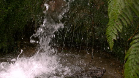 waterfall flowing in the countryside