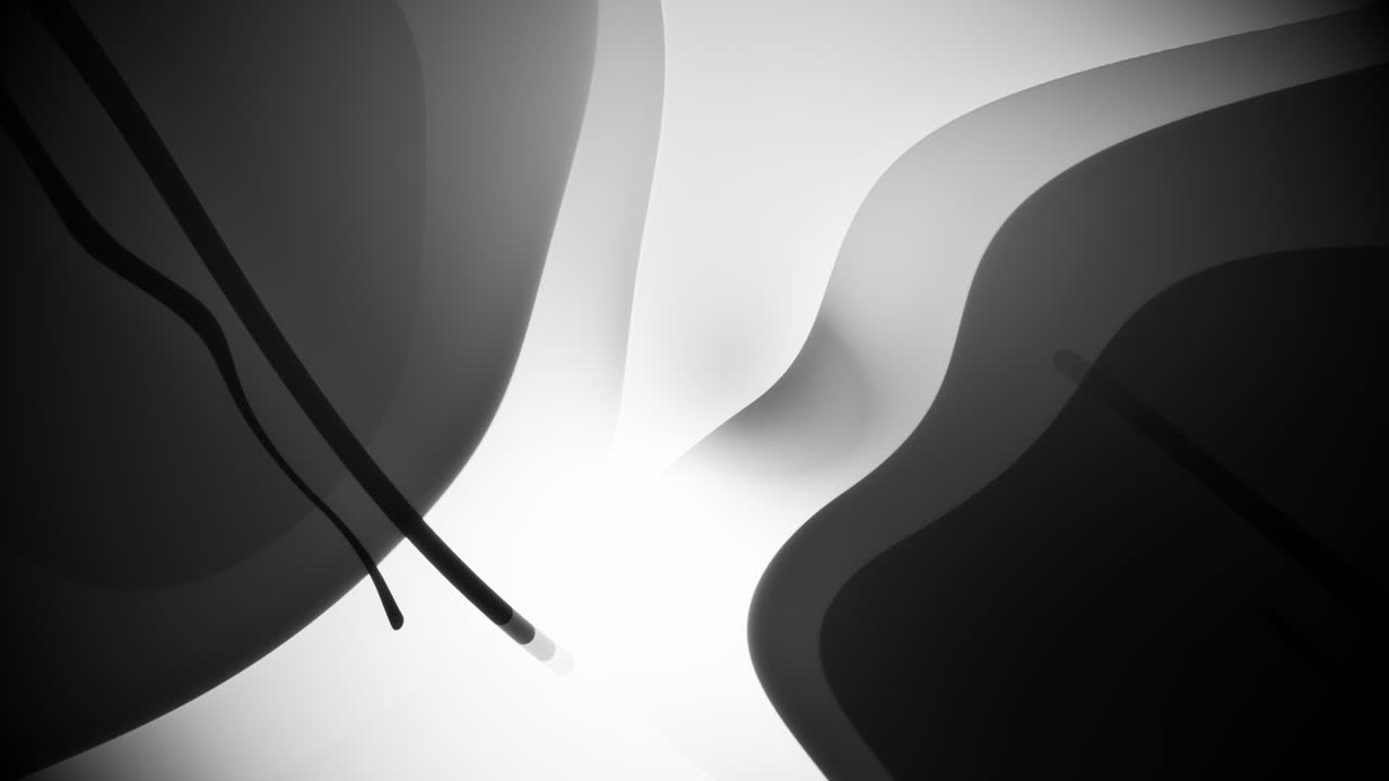 Abstract Black and White Flowing Shapes
