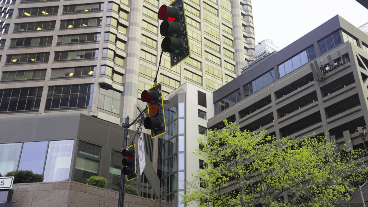 Fixed shot of a swaying traffic light in downtown Seattle with skyscrapers and trees
