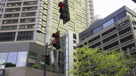 fixed shot of a swaying traffic light in downtown seattle with skyscrapers and trees