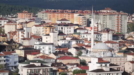 residential cityscape with mosque