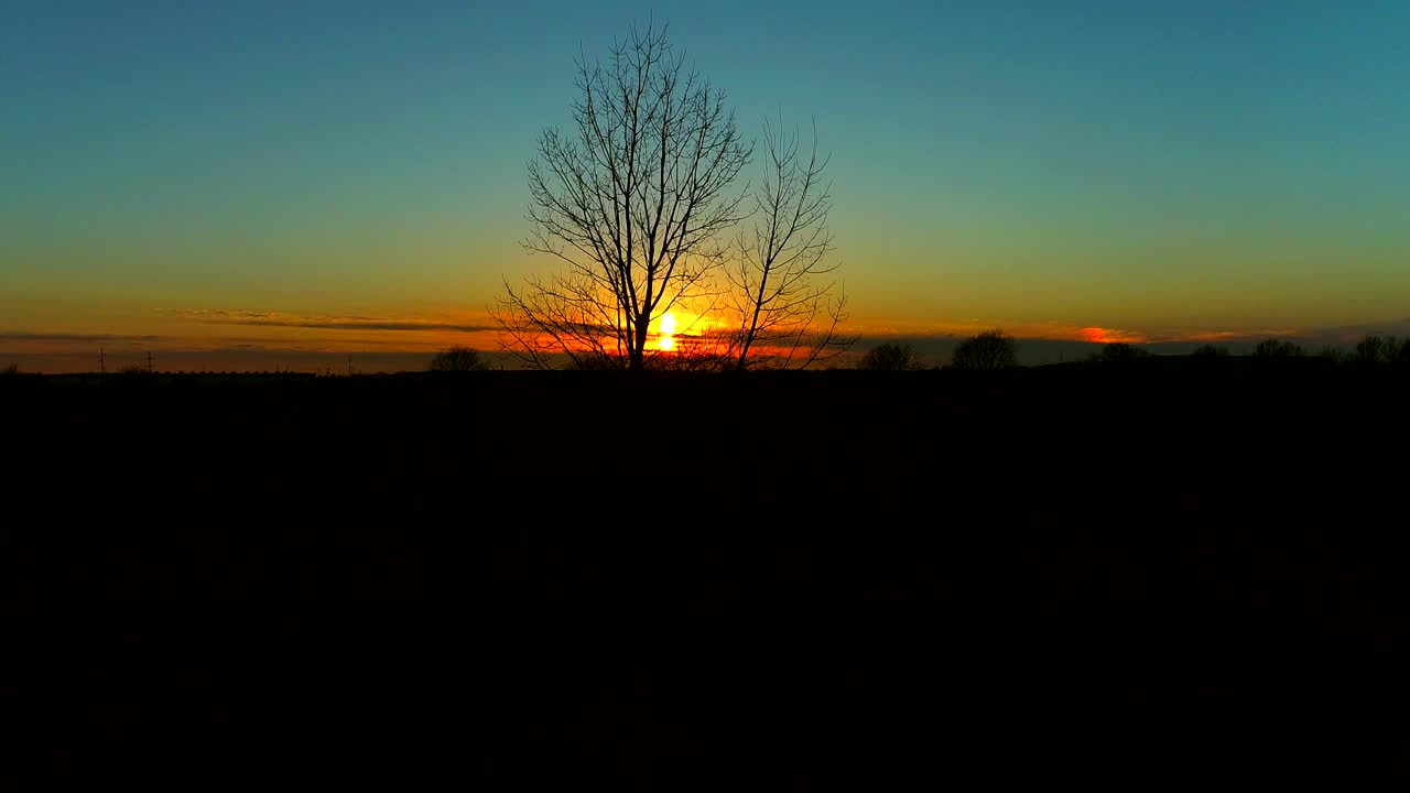 영화 같은 일몰에 대한 잎이 없는 나무 실루엣. 공중 상승