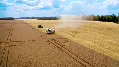 harvester machine working in field. aerial view of wheat harvesting on field in summer season