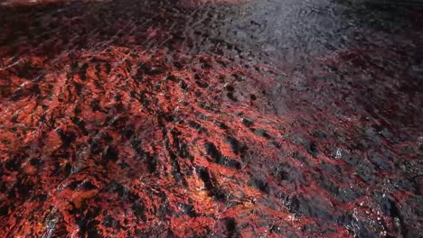 toma de las aguas de un río pasando sobre toda la superficie de una piedra llamada jaspe, ubicada en la gran sabana de venezuela