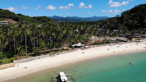 tropical beach paradise: palm trees, white sand, and crystal-clear water