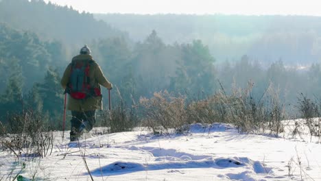 Rückansicht-Einer-Nicht-Erkennbaren-Person,-Die-Im-Winter-In-Der-Berglandschaft-Im-Schnee-Wandert