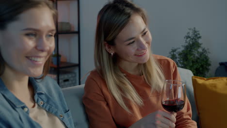 two friends enjoying wine together at home