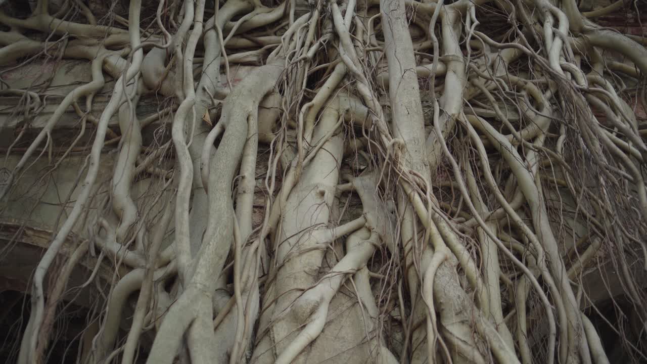This Portuguese-built gate, located on the banks of the Ganges River in Hooghly district, is in ruins today due to lack of maintenance.