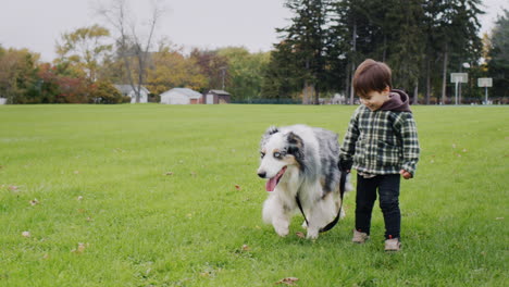 Kleines-Asiatisches-Kind,-Das-Mit-Einem-Großen-Schäferhund-Im-Park-Spaziert