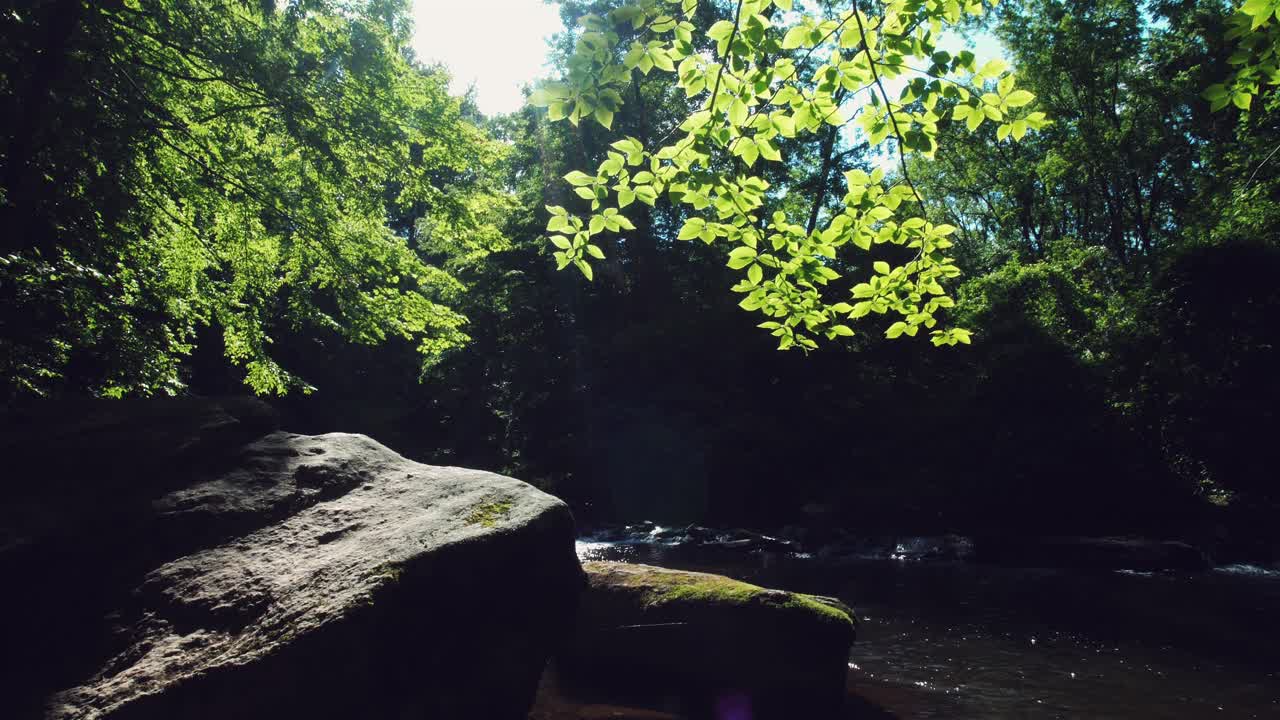 Dark moody view of clear rushing creek water and rocks pan towards sky and leaves