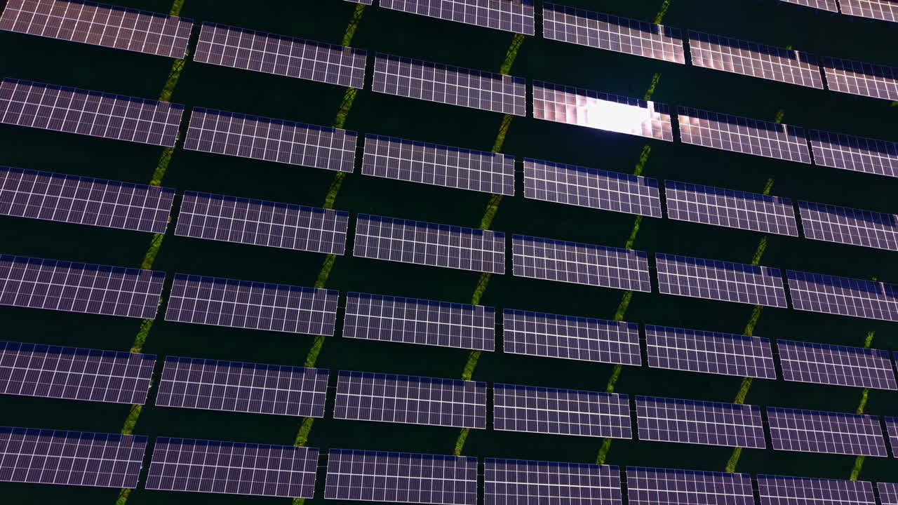 Pannelli solari che scintillano sotto il sole su un vasto campo verde, dando vita all'energia rinnovabile.
