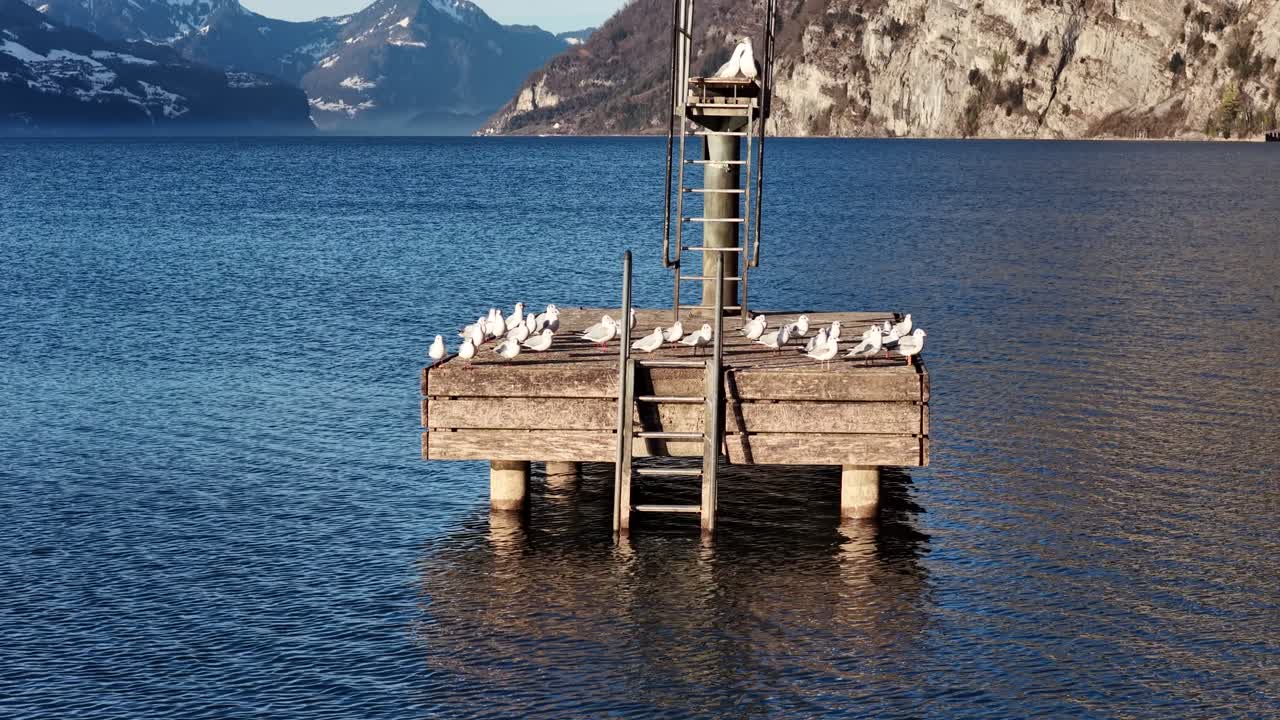 Puinen uimalaituri lepäävine lintuineen tyynellä Walensee-järvellä, alppivuoret taustalla